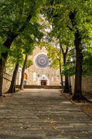 Téléchargez les photos : Vue de la cathédrale San Giusto Martire à Trieste, Frioul-Vénétie Julienne - Italie - en image libre de droit