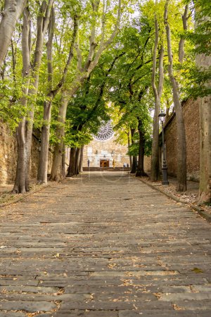 Photo for Avenue leading to the Cathedral of San Giusto in Trieste.October 2022 Trieste Friuli Venezia Giulia - Italy - Royalty Free Image