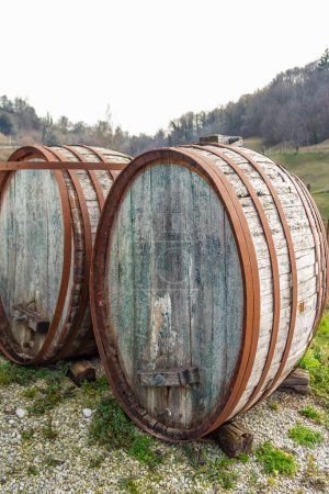 Téléchargez les photos : Vieux tonneaux en bois pour le vin - en image libre de droit