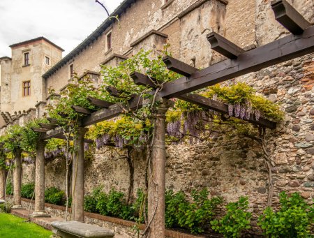Téléchargez les photos : Vue d'une avenue du château de Buonconsiglio à Trente, Trentin Haut Adige, Italie - en image libre de droit