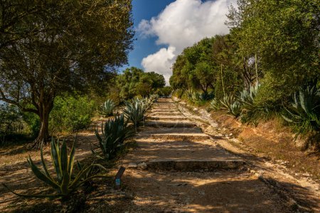 Téléchargez les photos : Escalier de saleté avec de belles agaves géantes - en image libre de droit
