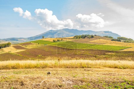 Photo for Background with countryside landscape of Sicily, Italy - Royalty Free Image