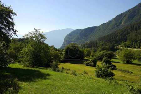 Téléchargez les photos : Vue sur la montagne verte, Trentin Haut Adige, Italie. - en image libre de droit