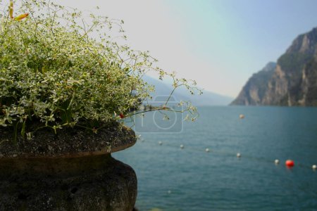 Vista del lago de Garda con hermosas flores con efecto roto, Riva del Garda, Italia