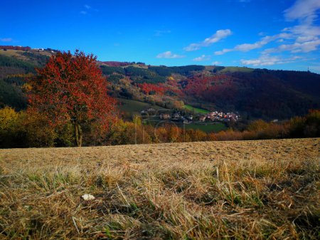 Téléchargez les photos : Paysages d'hiver sur le plateau d'Asiago, Vicence - Italie - en image libre de droit