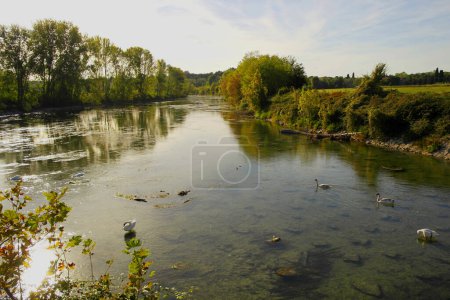 Téléchargez les photos : Vue sur le fleuve Mincio à Borghetto, Vénétie, Italie - en image libre de droit