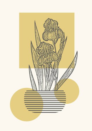 Téléchargez les illustrations : Affiche d'art contemporain avec iris en vase illustration. Art mural imprimable minimaliste. Arrière-plan avec éléments géométriques beige - en licence libre de droit