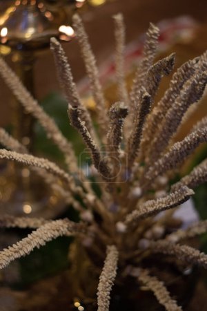 Foto de Ofrendas tradicionales a Dios, granos de trigo en el viejo recipiente de la vendimia con flor de coco guardado en la hoja de plátano durante Onam, festival de Vishu en Kerala India. Utensil de latón y madera para medir granos - Imagen libre de derechos