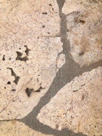 Photo for Texture stone floor, Texture floo seamless - Royalty Free Image