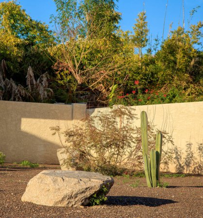 Arizona desert style xeriscaping with Mexican Fencepost columnar cacti, boulders and gravel