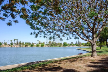 Invitation à se détendre arbres frais ombragés au bord du lac Kiwanis parc, Tempe, Arizona 
