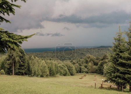 Foto de Bosque verde y pajar en el prado. Carpathian Mountines, Ucrania, Europa del Este. Paisaje de montaña. Tormenta en el horizonte sobre los árboles. - Imagen libre de derechos