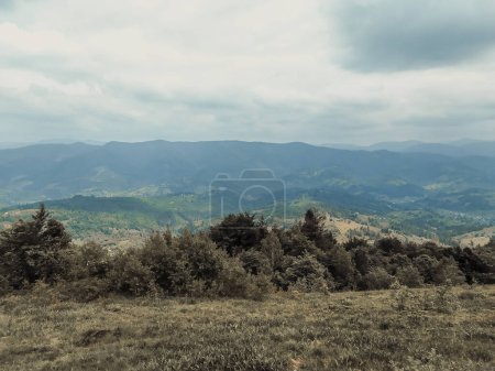 Foto de Cordilleras en el horizonte. Verde paisaje de montaña de verano. Un prado en la cima de la montaña. Montañas Cárpatos, Ucrania, Europa del Este. - Imagen libre de derechos