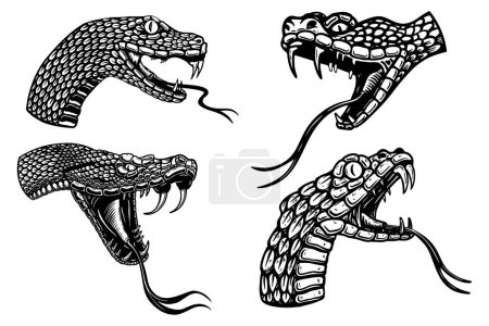 Téléchargez les illustrations : Ensemble d'illustrations de têtes de serpent venimeux en style gravure. Élément de design pour logo, étiquette, signe, affiche, t-shirt. Illustration vectorielle - en licence libre de droit