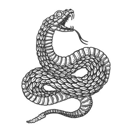 Illustration de serpent venimeux en style gravure. Élément de design pour logo, étiquette, signe, affiche, t-shirt. Illustration vectorielle