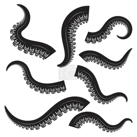 Téléchargez les illustrations : Ensemble de pieuvres, tentacules de calmar en style gravure. Élément de design pour logo, étiquette, emblème, signe, insigne. Illustration vectorielle - en licence libre de droit