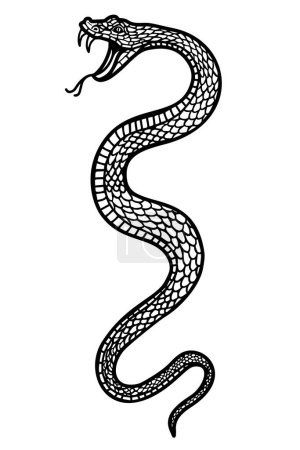 Téléchargez les illustrations : Illustration de serpent venimeux en style gravure. Élément de design pour logo, étiquette, emblème, signe, insigne. Illustration vectorielle - en licence libre de droit
