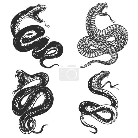 Illustration for Set of illustrations of poisonous snake in engraving style. Design element for logo, label, sign, poster, t shirt. Vector illustration - Royalty Free Image