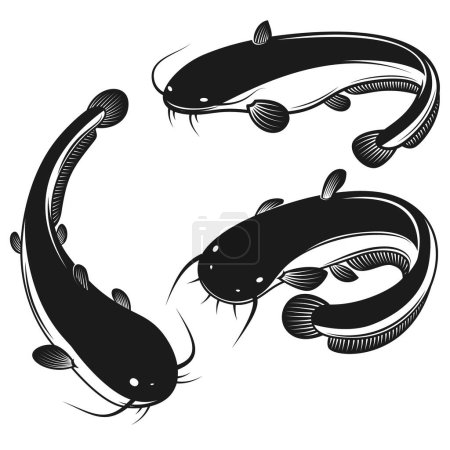 Illustration for Set of illustration of catfish in engraving style. Design element for logo, label, sign, poster, t shirt. Vector illustration - Royalty Free Image