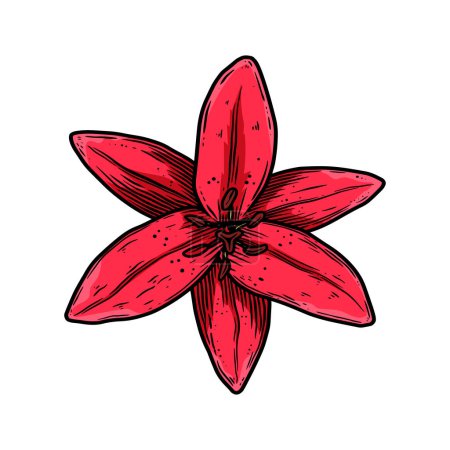Ilustración de Ilustración de flor de lirio en estilo grabado. Elemento de diseño para emblema, letrero, póster, tarjeta, banner, volante. Ilustración vectorial - Imagen libre de derechos