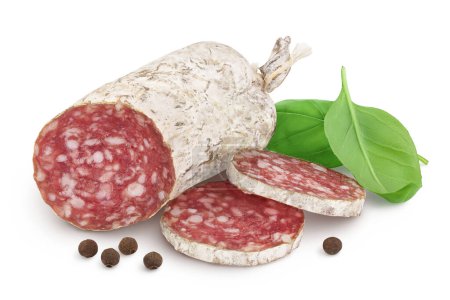 Cured salami sausage isolated on white background. Italian cuisine with full depth of field.