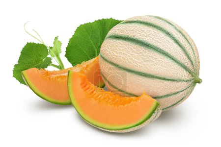 Téléchargez les photos : Melon cantaloup isolé sur fond blanc avec pleine profondeur de champ - en image libre de droit