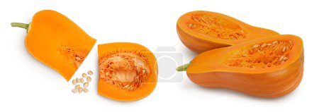 Photo for Butternut squash piece isolated on white background with  full depth of field. Top view. Flat lay. - Royalty Free Image