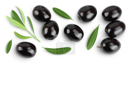 Schwarze Oliven mit isolierten Blättern auf weißem Hintergrund mit voller Schärfentiefe. Draufsicht mit Kopierraum für Ihren Text. Flache Lage.