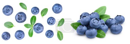 fresh ripe blueberry with leaves isolated on white background. Top view. Flat lay pattern.