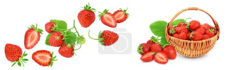 Erdbeeren isoliert auf weißem Hintergrund mit Kopierplatz für Ihren Text. Ansicht von oben. Flaches Lagemuster.