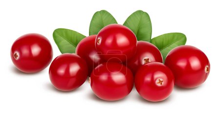 Photo for Cranberry isolated on white background with full depth of field. - Royalty Free Image