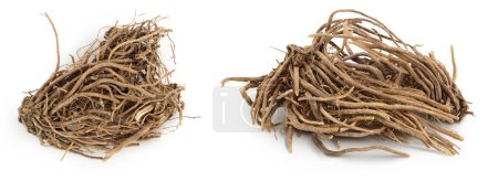 Dried Valerian root isolated on white background. Valeriana officinalis with full depth of field. Top view. Flat lay.