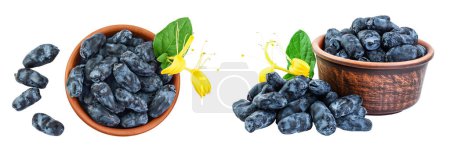 Téléchargez les photos : Fresh honeysuckle blue berry in ceramic bowl isolated on white background with full depth of field. Top view. Flat lay. - en image libre de droit