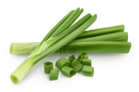 Photo for Green onion isolated on the white background with full depth of field. - Royalty Free Image