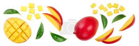 Photo for Mango fruit half with slices isolated on white background. Set or collection. Top view. Flat lay. - Royalty Free Image