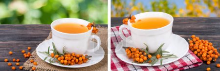 Téléchargez les photos : Thé de baies d'argousier au miel sur table en bois avec fond de jardin flou
. - en image libre de droit