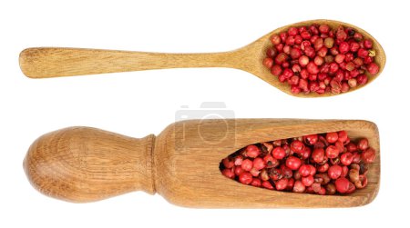 Photo for Red peppercorns seeds in wooden spoon isolated on white background. Top view. Flat lay. - Royalty Free Image