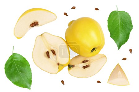 Photo for Fresh quince with half isolated on the white background with clipping path and full depth of field. Top view. Flat lay. - Royalty Free Image