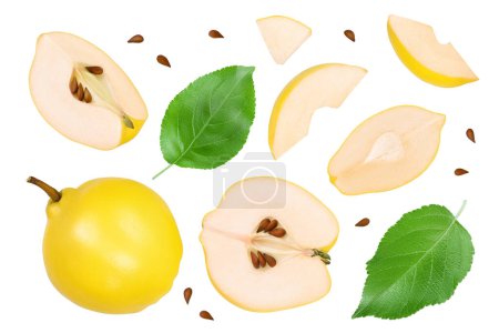 Photo for Fresh quince with half and slices isolated on the white background with clipping path and full depth of field. Top view. Flat lay. - Royalty Free Image
