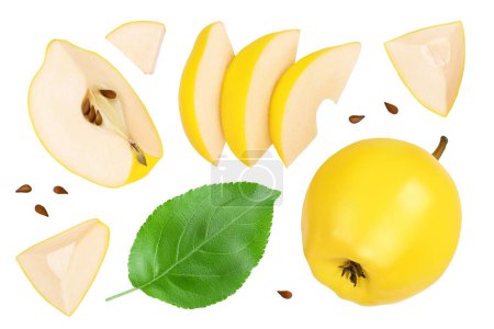 Photo for Fresh quince with half and slices isolated on the white background. Top view. Flat lay. - Royalty Free Image