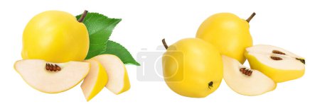 Photo for Fresh cut quince isolated on the white background with  full depth of field. - Royalty Free Image