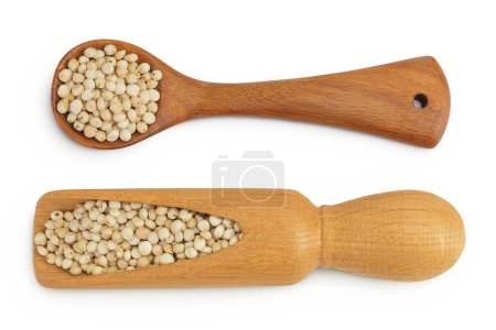 Sorghum seeds in wooden scoop and spoon isolated on white background. Top view. Flat lay
