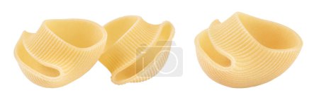 lumaconi pasta isolated on white background with full depth of field.