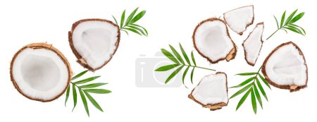 Photo for Coconut with leaves isolated on white background. Top view. Flat lay. - Royalty Free Image