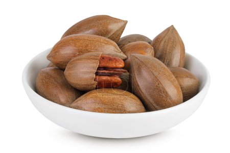 pecan nut in ceramic bowl isolated on white background with full depth of field.