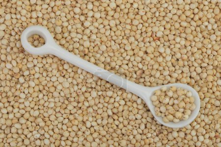 background of sorghum seeds with ceramic spoon. Top view. Flat lay