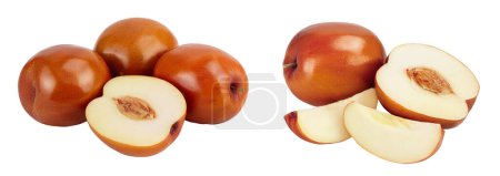 jujube or chinese date isolated on white background with full depth of field.
