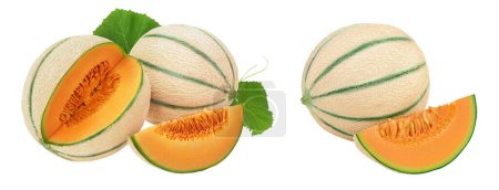 Cantaloupe Melone isoliert auf weißem Hintergrund mit voller Schärfentiefe