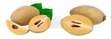 Sapodilla isolated on white background with full depth of field.