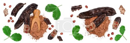 Carob pod and powder in wooden scoop isolated on white background . Top view with copy space for your text. Flat lay.